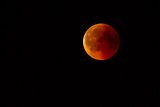 Une spectaculaire éclipse lunaire totale visible en Algérie ce dimanche