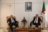 Algérie : Création d’une nouvelle compagnie aérienne pour le transport intérieur