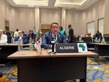 L’Algérie élue à la vice présidence d’une importante instance africaine