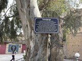 Massacre du 23 mai 1956 en Kabylie : Safia Kessas et Fabrice Riceputi redonnent voix aux victimes