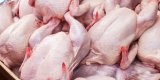 Le marché de la volaille en Algérie : une flambée des prix du poulet inquiète les consommateurs