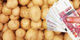 Prix jugés trop bas, les producteurs de pommes de terre protestent