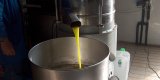 Industrie : Un méga-projet d’extraction d’huiles végétales bientôt opérationnel à Jijel