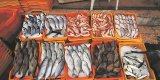 Algérie-Mauritanie : la 1ʳᵉ cargaison de poisson mauritanien débarque dans cette wilaya