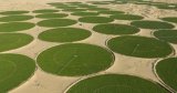 Timimoun : le méga-projet céréalier algéro-italien entre en phase active