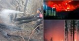 « C’est un acte criminel »… Deux suspects arrêtés pour incendies volontaires à Chréa