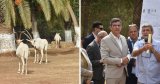 Bientôt un parc Safari à Alger : Le zoo de Ben Aknoun se réinvente