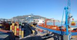 Exportations de ciment : Tebboune ouvre la voie à un nouveau chapitre