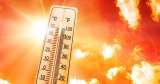 BMS – Météo Algérie : vigilance « orange » pour canicule dans ces wilayas ce jeudi 7 août !