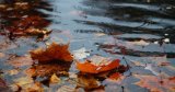 Météo du mardi 21 octobre : temps globalement stable, mais vigilance jaune dans cette wilaya !