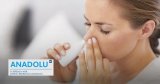 Sinusite : plus qu’un simple rhume, comprendre les causes, les symptômes et les traitements