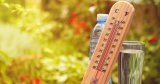 Météo Algérie : chaleur intense, orages et vents forts annoncés pour ce dimanche 10 août
