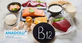 Manquez-vous de vitamine B12 ? Repérer les signes d’une carence silencieuse