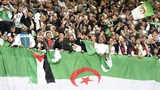 Un autre supporter algérien condamné au Maroc pour cette raison