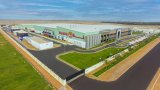 Algérie : Lancement du projet de lait en poudre Baladna à 500M$