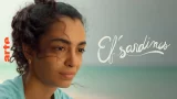 Mini-série algérienne « El’ Sardines » : plongée dans une chronique sociale vibrante
