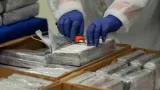 Un stratagème sophistiqué pour livrer 46 kg de cocaïne vers le nord déjoué in extremis à Laghouat