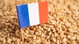 Tensions franco-algériennes : les exportations alimentaires françaises en chute libre