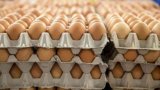 Hausse alarmante du prix des œufs : que se passe-t-il sur le marché algérien ?