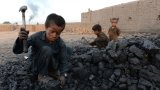 Travail des enfants : l’Algérie enregistre l’un des taux les plus bas au monde