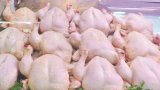 Les autorités saisissent plus de 137 kg de poulet impropre à la consommation