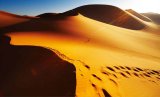 L’Algérie accélère la digitalisation du tourisme : objectif 4 millions de visiteurs d’ici fin 2025