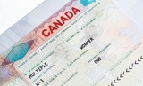 Arnaques aux visas : le Canada met en garde les demandeurs algériens