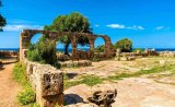 Trésors antiques d’Algérie : notre guide pour visiter Djemila, Timgad et Tipasa en été